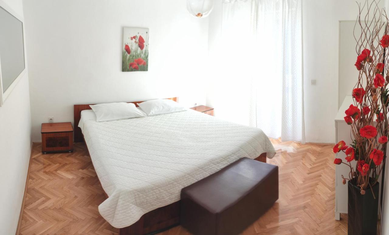 Luna 1 Porec Luaran gambar